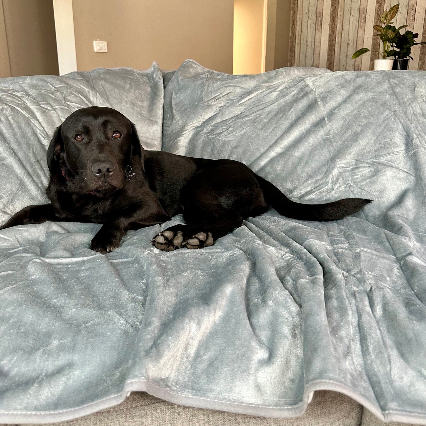 Large Waterproof Blanket - Misty Grey