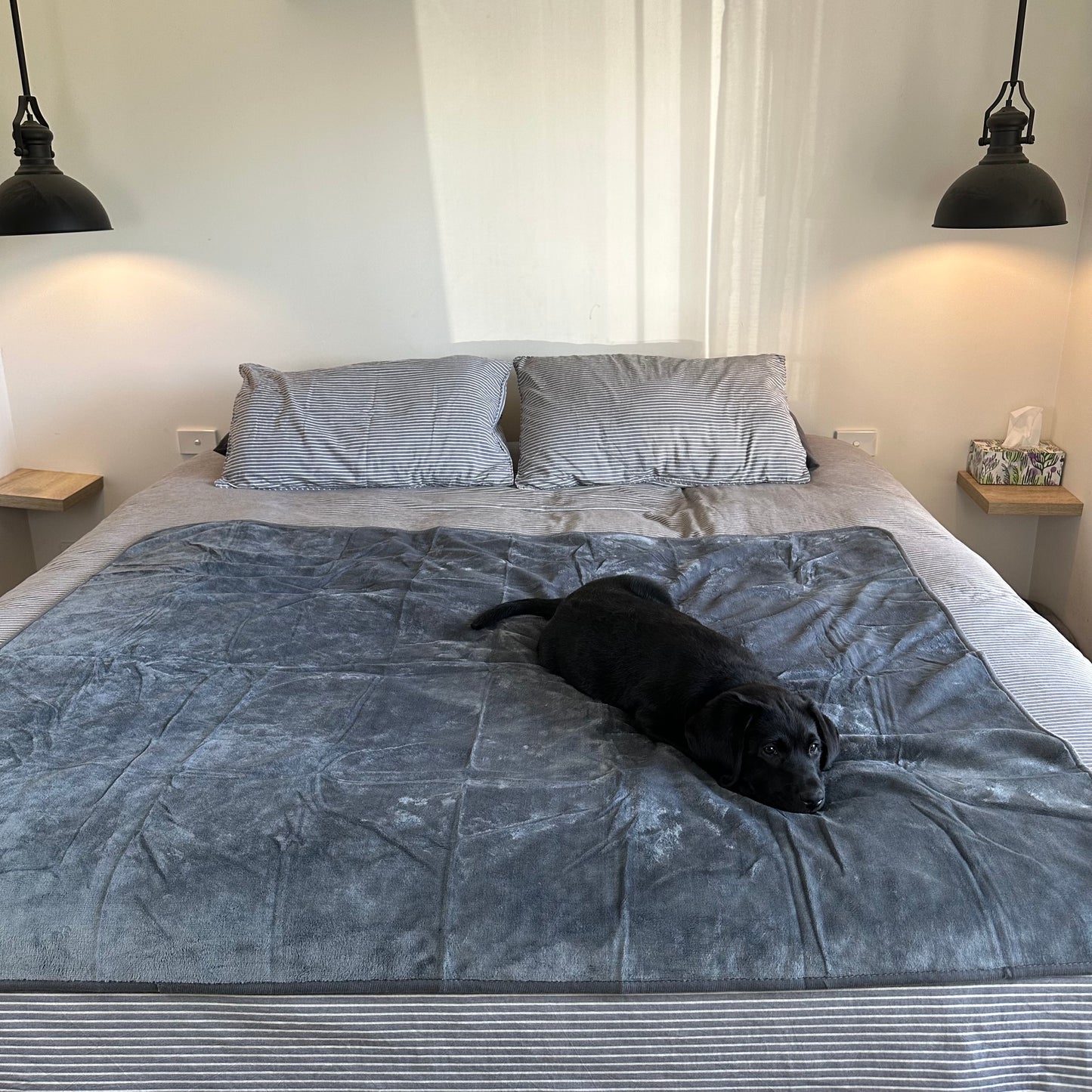 Medium Waterproof Blanket - Stormy Grey