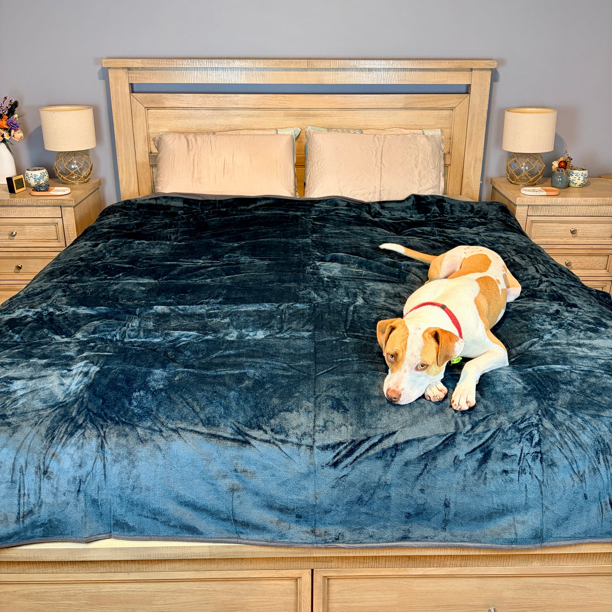 Extra Large Waterproof Blanket - Teal